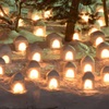 弘前城雪燈籠まつり・4