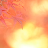 秋色 2