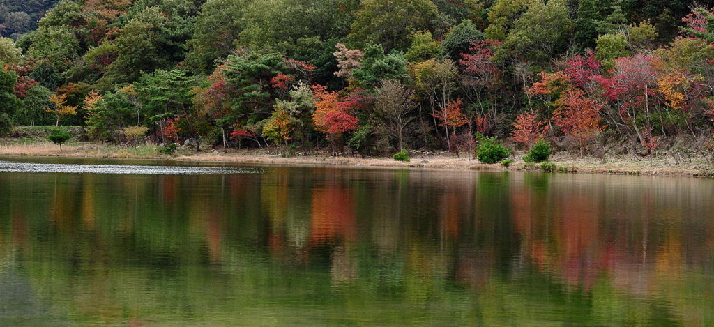 2012.11.10