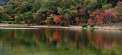 2012.11.10