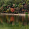 2012.11.10