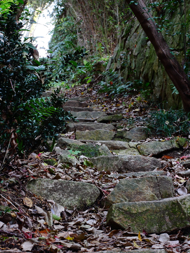 mountain steps.