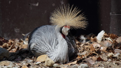 動物園にて