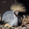 動物園にて