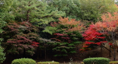 2012.11.10