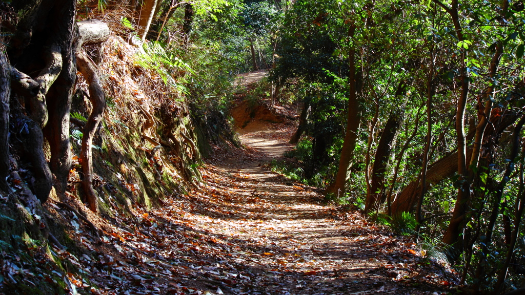 山道