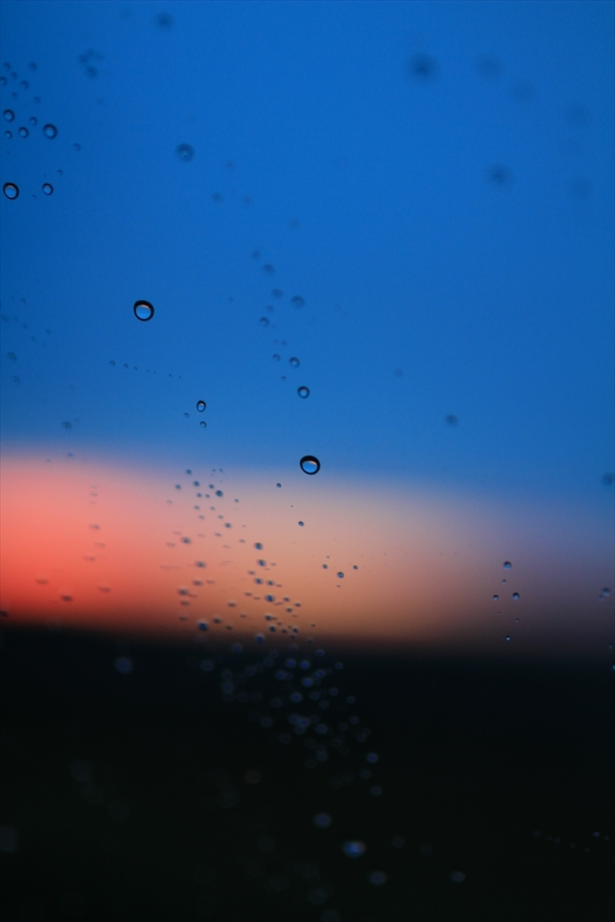 帰り際には雨もおさまり、空も少し赤く染まっていた