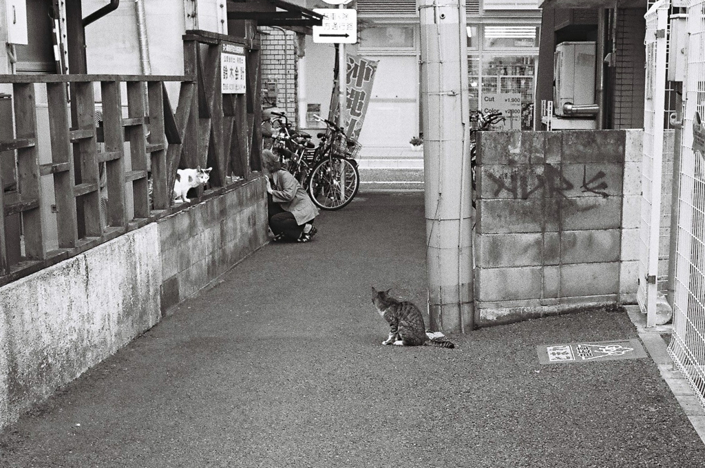 路地の風景