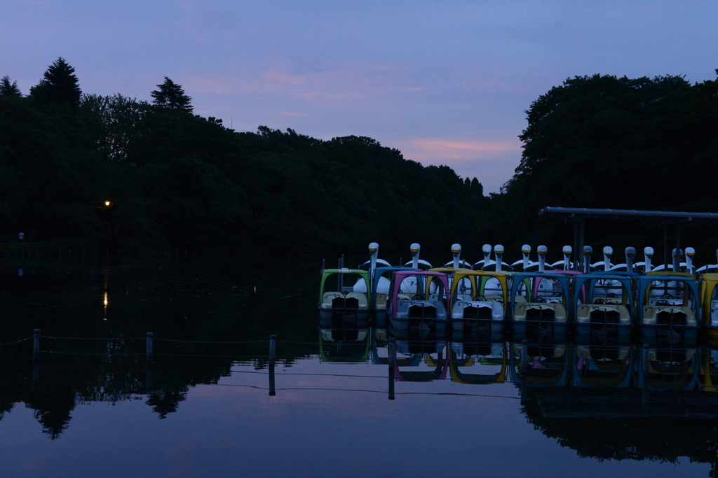 井の頭公園早朝２