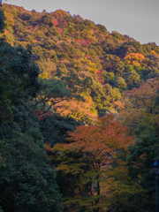 2012-11-23　散歩