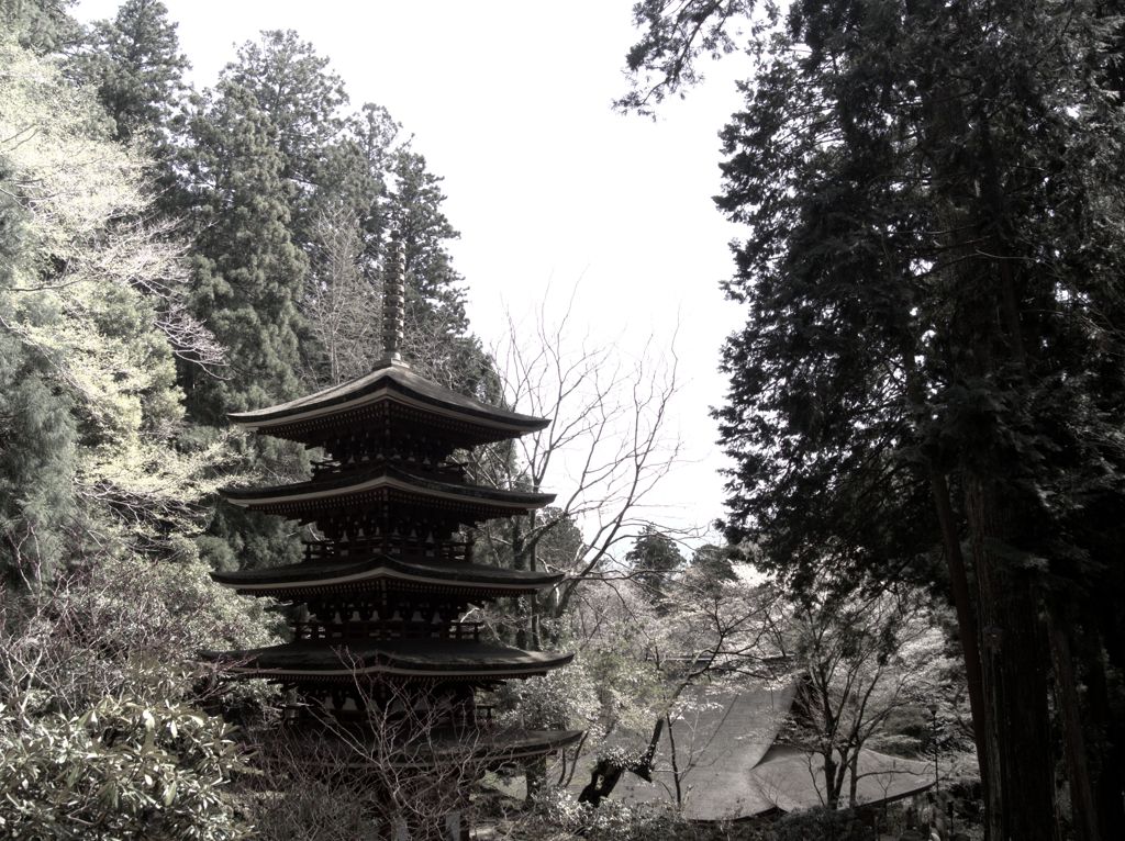 眺塔図　～室生寺～