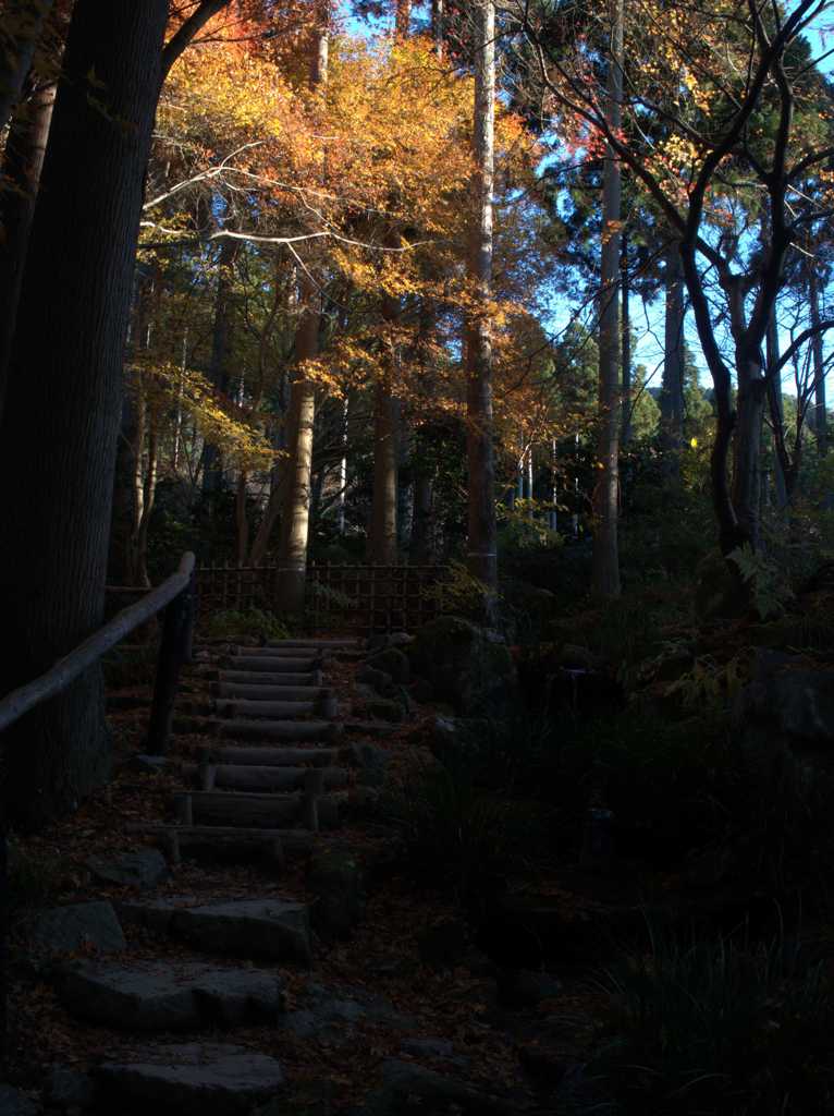 三千院回遊録 Ⅴ