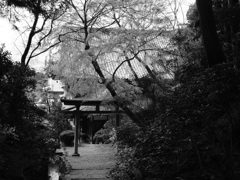 郷愁を誘う