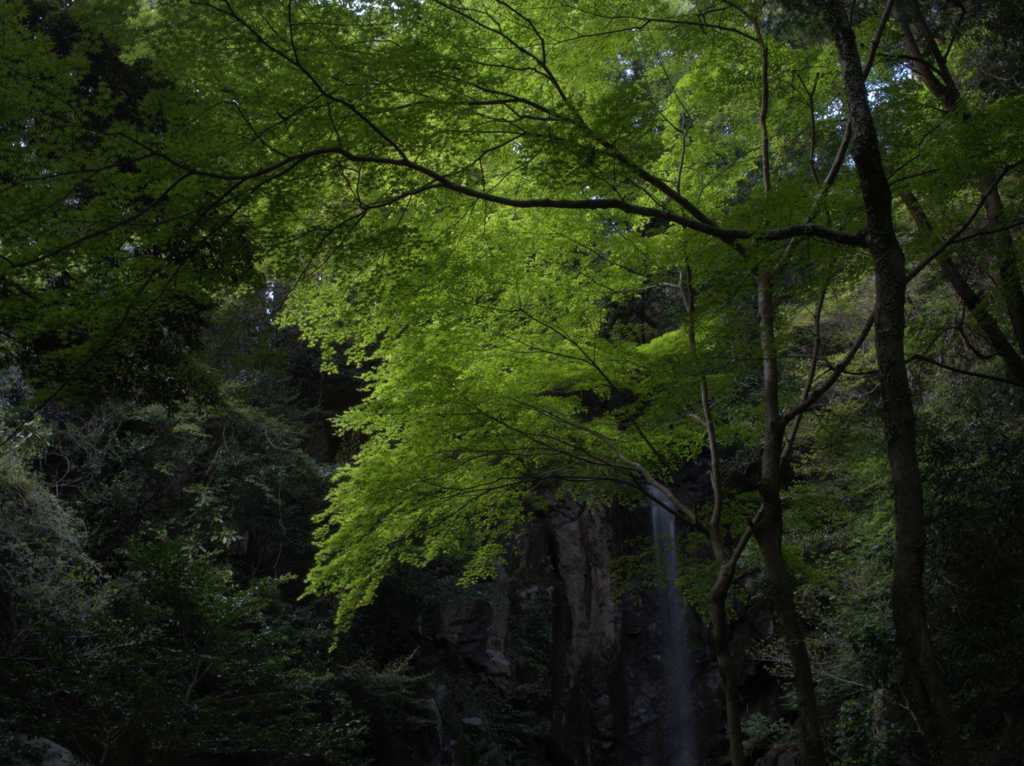 秘所名刹　其の弐
