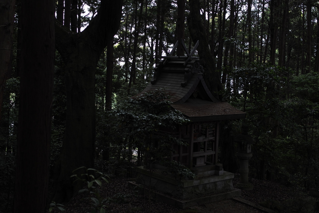 春日若宮神社