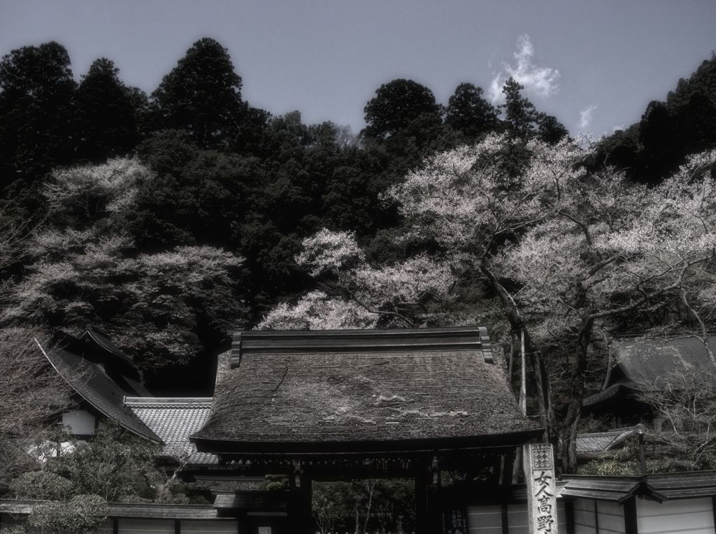 女人高野　～室生寺～