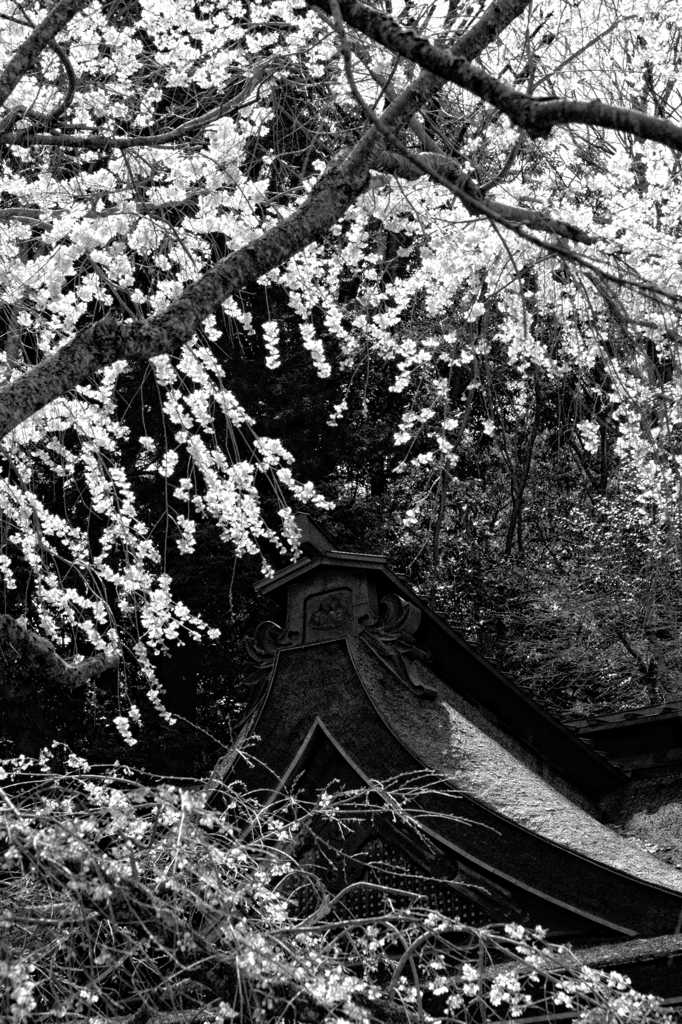 吉野水分神社 Ⅱ