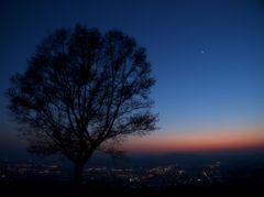 若草幻景図