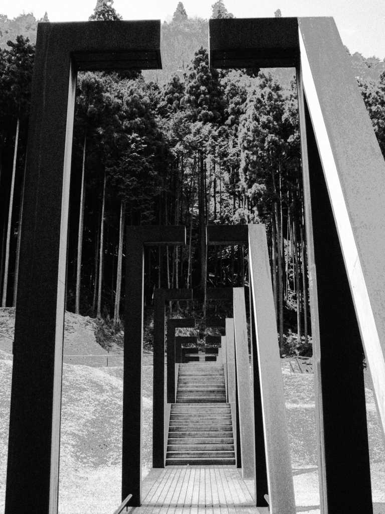 Black and White　～Murou Art Forest～