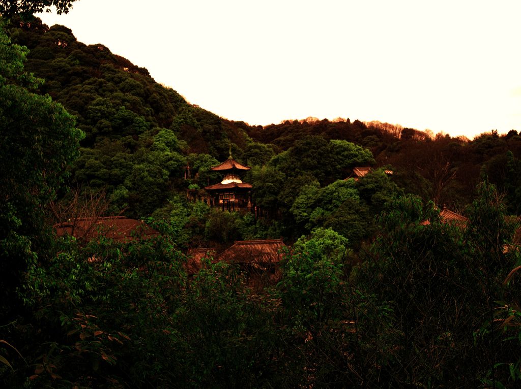 多宝塔を望む　～朝護孫子寺～