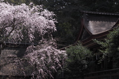 吉野水分神社