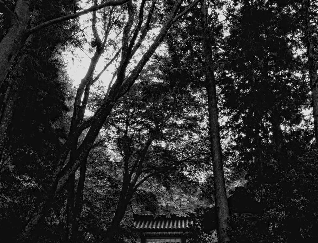 門　～岩船寺～