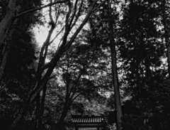 門　～岩船寺～