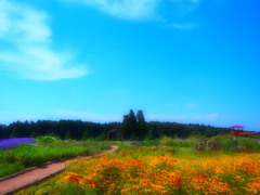 花園を歩く