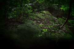 森に眠る岩