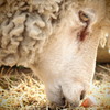 静かな食事
