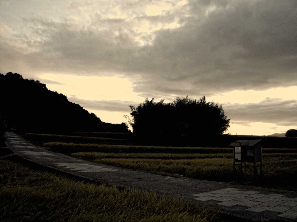 秋香景