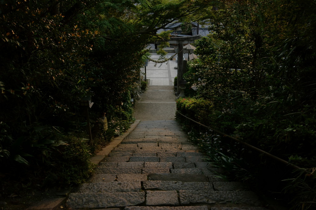 飛鳥坐神社 Ⅵ