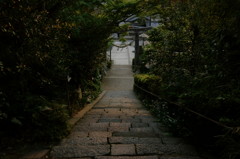 飛鳥坐神社 Ⅵ