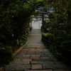 飛鳥坐神社 Ⅵ