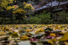 戒長寺 Ⅱ