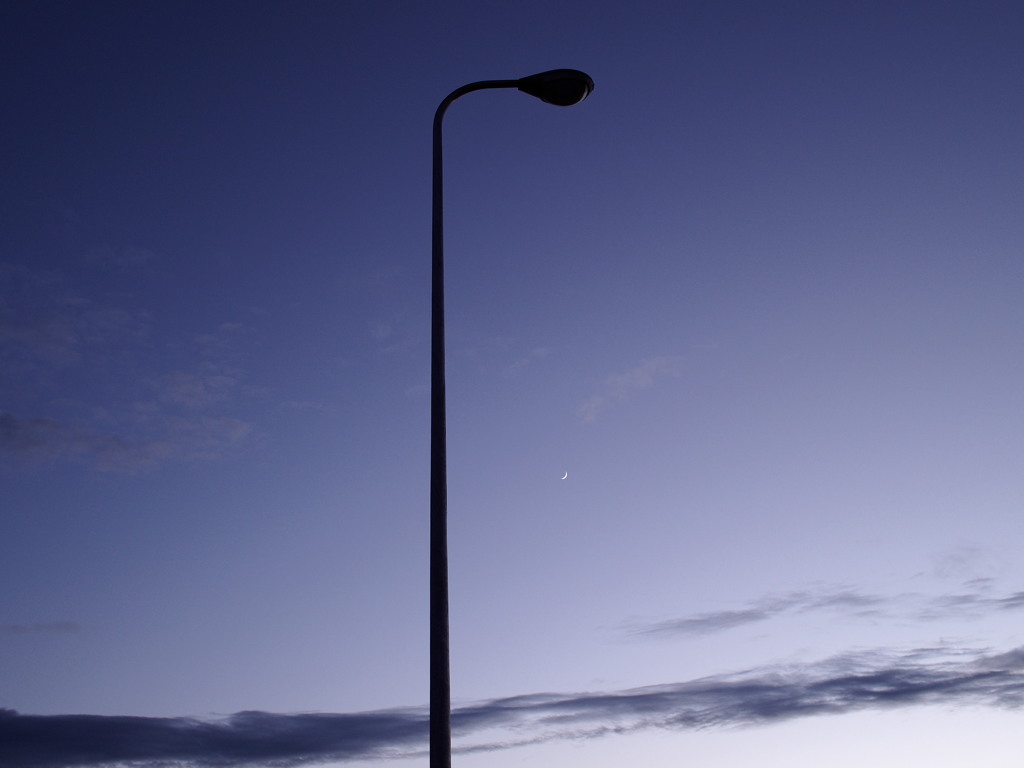 Silhouette Lamp