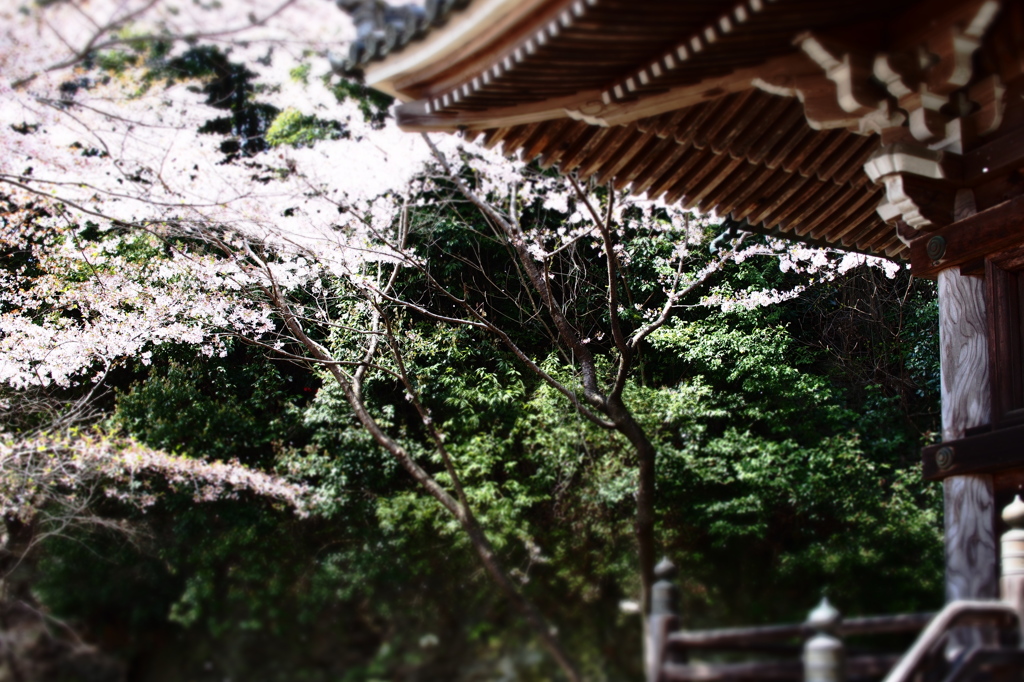 如意輪寺 Ⅱ