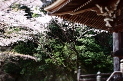 如意輪寺 Ⅱ