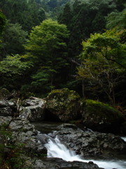 赤目四十八滝渓谷 Ⅷ