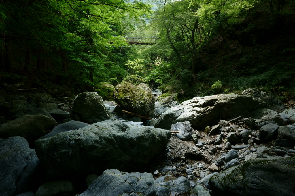 大又渓谷