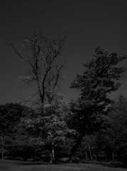 微妙なバランス ～二上山ふるさと公園～