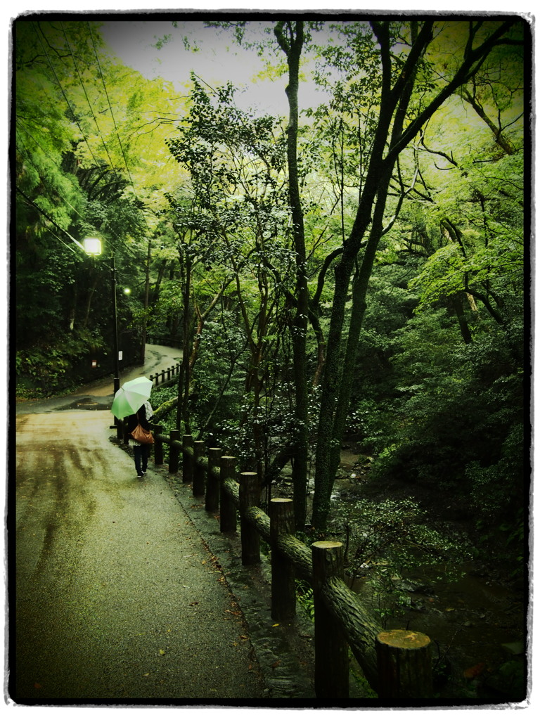 君をつれて ~箕面散策Ⅱ~