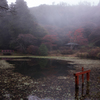 霧ヶ池