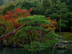 天龍寺