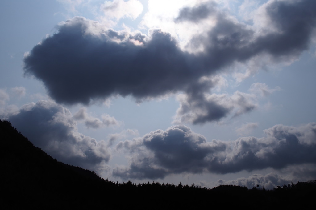 空に魅入る