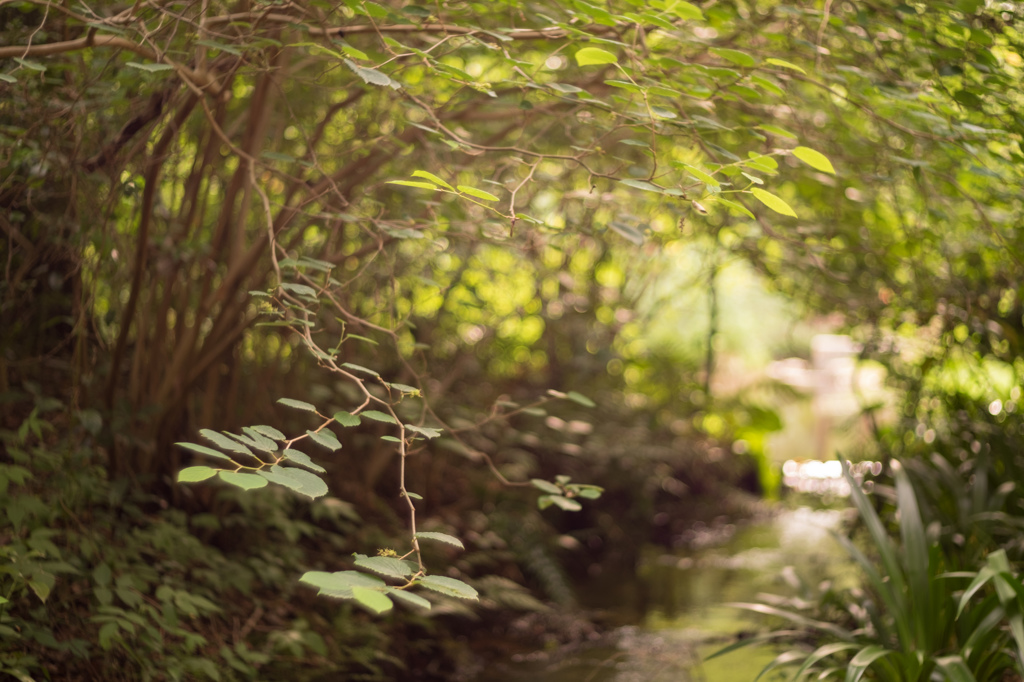 STREAM