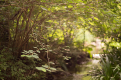 STREAM