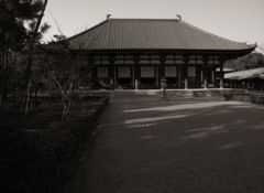 金堂　～唐招提寺～