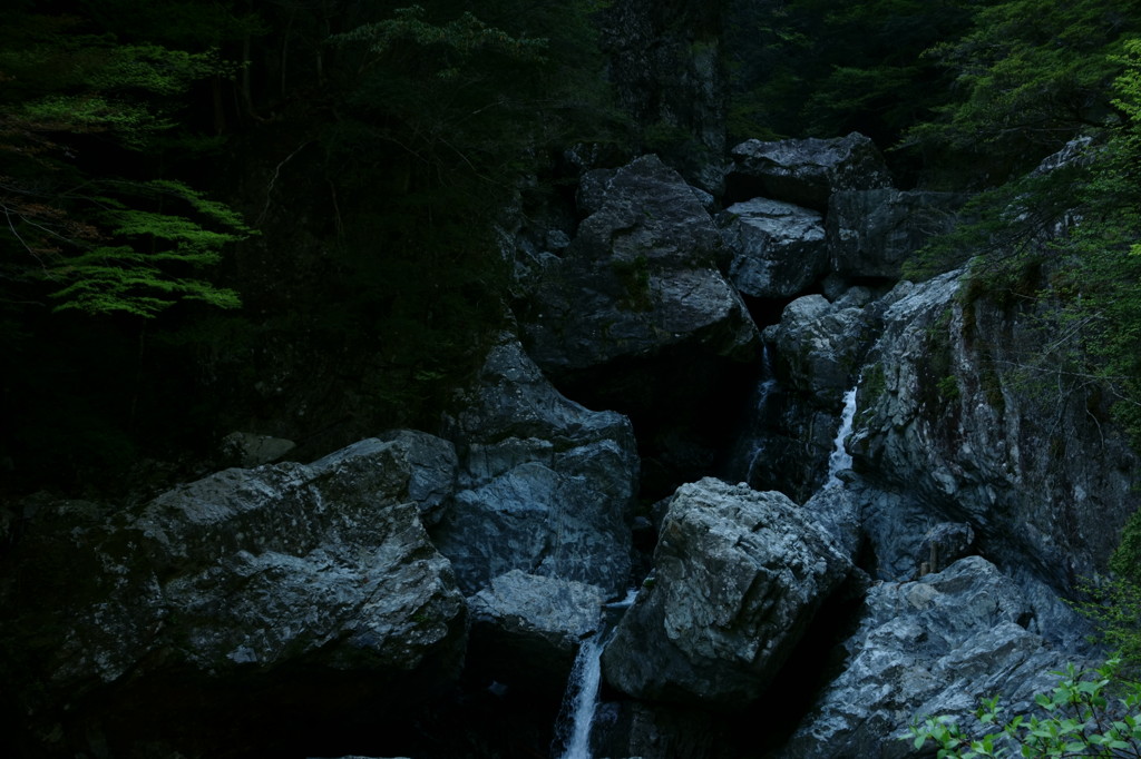 みたらい春景図 Ⅴ