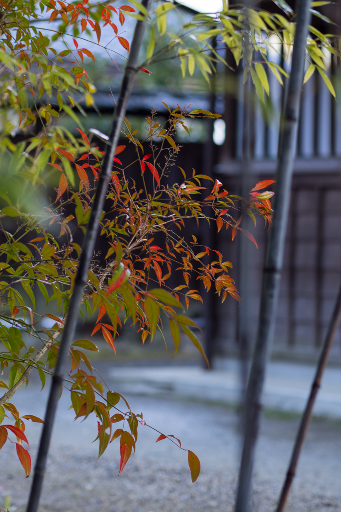 片隅に彩りを